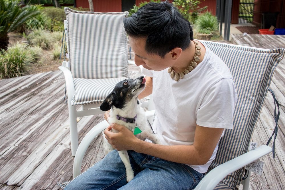 Pet Sitting | Gainesville Pet Sitting