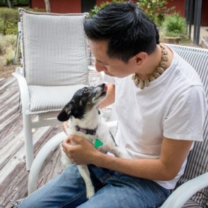 Pet Sitting | Gainesville Pet Sitting