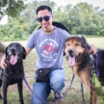 Gainesville Pet Sitters Dogs with Tony | Gainesville Pet Sitting