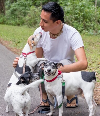 Dog Walking | Gainesville Pet Sitting